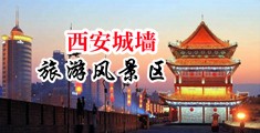 国产性受XXXX白人性爽中国陕西-西安城墙旅游风景区